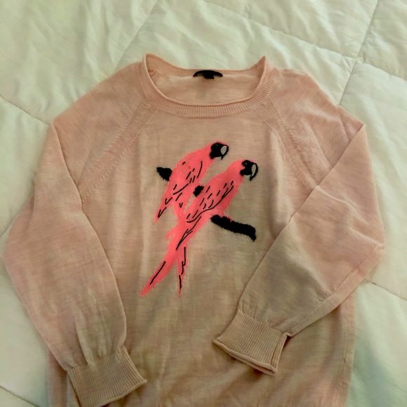 COPY - J.Crew Merino wool crewneck sweater in parrot - Picture 3 of 5